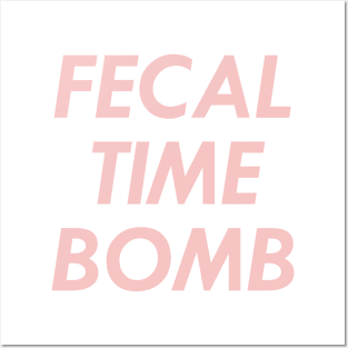 Fecal Time Bomb, Pink Posters and Art